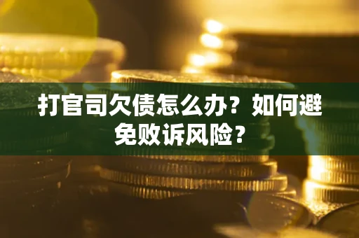 武汉打官司欠债怎么办？如何避免败诉风险？