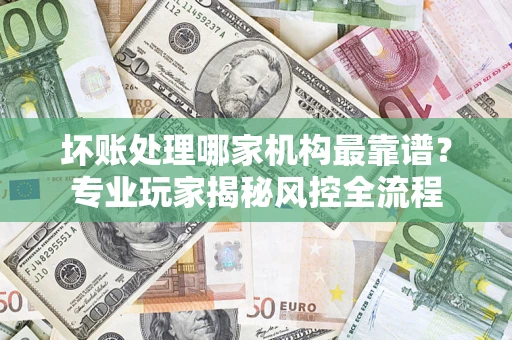 武汉坏账处理哪家机构最靠谱？专业玩家揭秘风控全流程