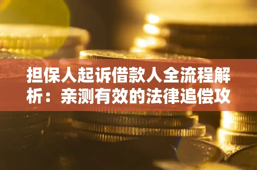 武汉担保人起诉借款人全流程解析：亲测有效的法律追偿攻略