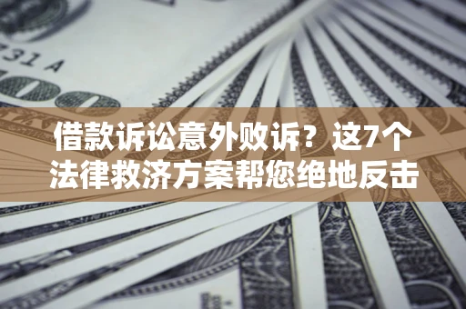 武汉借款诉讼意外败诉？这7个法律救济方案帮您绝地反击！