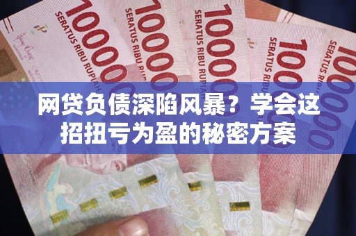 武汉网贷负债深陷风暴？学会这招扭亏为盈的秘密方案